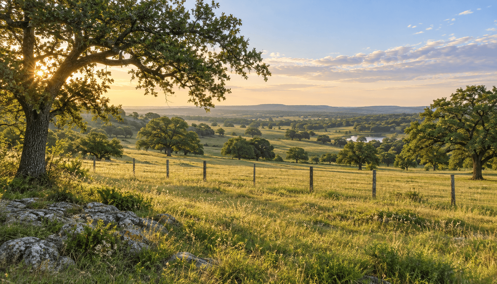 Illustrative pasture with oak trees and a fence line